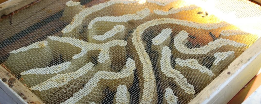 Staklenke meda i laboratorijska kontrola